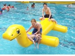 Inflatable Dragon Water Toy