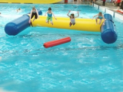 Mega-H Inflatable Water Toy