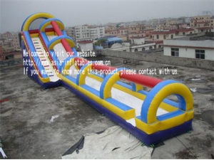 20FT Tropical Dual Water Slide