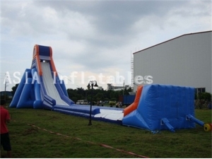 Giant Inflatable Hippo Slide