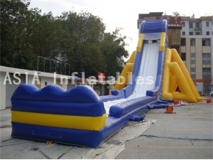 Giant Inflatable Hippo Slide