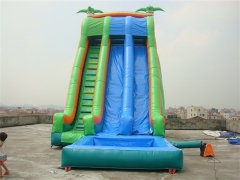 Inflatable Tropical Water Slide