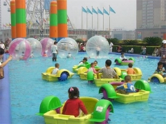 Paddle Boat