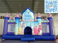 Disney Princess Castle Combo