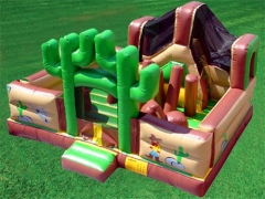 Desert Bounce House Slide