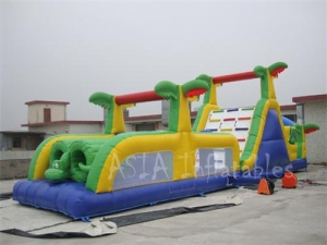 Jungle Slide & Obstacle Combo