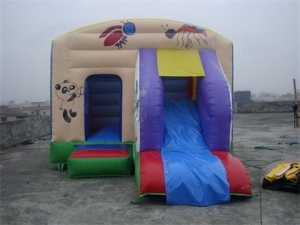 Apis Florea Jumping Castle