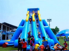 Inflatable Hippo Slide