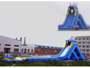 Inflatable Dragon Slide