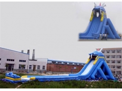 Inflatable Dragon Slide