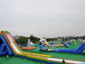 Giant Inflatable Shark Slide