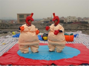 Sumo Wrestling Suits