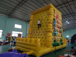 Inflatale Rock Climbing Wall