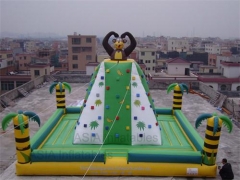 Inflatale Rock Climbing Wall