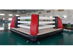 Bouncy Boxing Ring