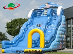 Giant Inflatable Slide