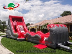 Inflatable Water Slide