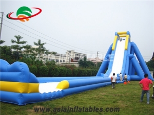 Giant Inflatable Hippo Slide