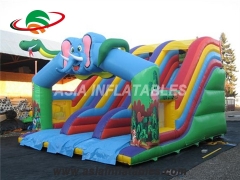 Inflatable Slide