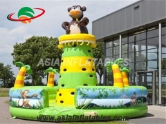 Inflatale Rock Climbing Wall