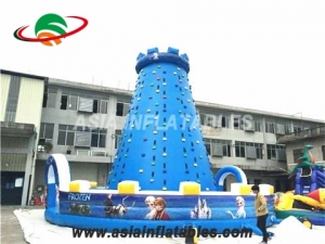 Inflatale Rock Climbing Wall