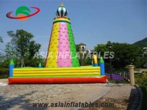 Inflatale Rock Climbing Wall