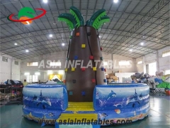 Inflatale Rock Climbing Wall