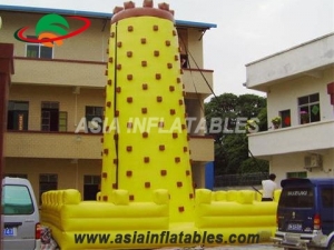 Inflatale Rock Climbing Wall