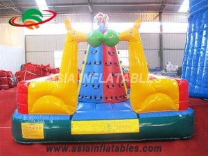 Inflatale Rock Climbing Wall