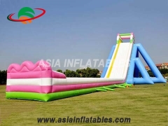 Beach Slide Inflatable Hippo Water Slide
