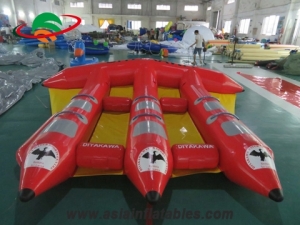 Inflatable flying flsh