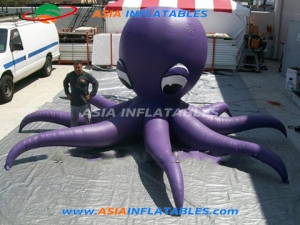 Inflatable Octopus