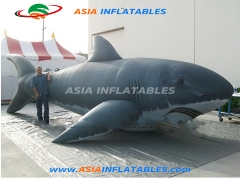 Inflatable Shark