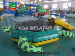 Inflatable Water Trampoline Combos